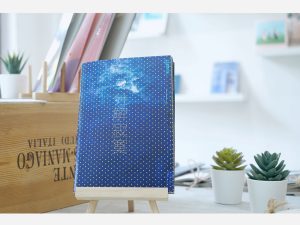 分享寂寞 ZINE by Dennis Soap
