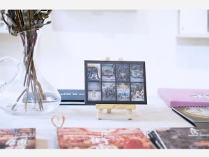HK DOGS POSTCARDS by Marcel Heijnen