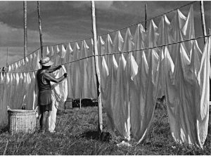 Passing Time by Lui Hock Seng - Indian laundry man hanging sheets, Upper Serangoon Road, c. 1960s - 1970s