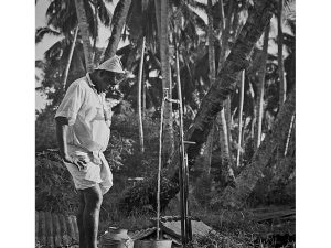 Passing Time by Lui Hock Seng - Man retrieving toddy, alcohol made from coconut flowers, c. 1960s