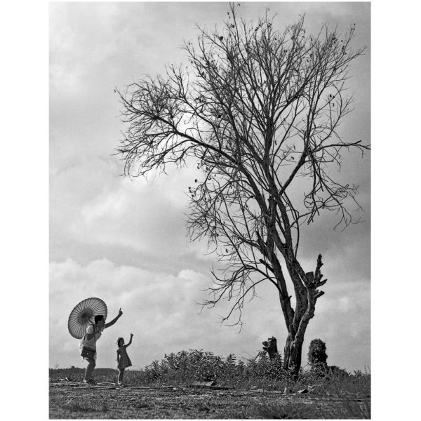 Passing Time by Lui Hock Seng -  Tree of Life, Jurong c. 1960s – 1970s