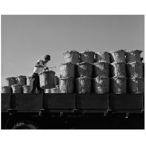 Passing Time by Lui Hock Seng - Man unloading goods, Boat Quay, c. 1970s