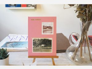 New Forest 1 - A History of Cows by Robert Zhao