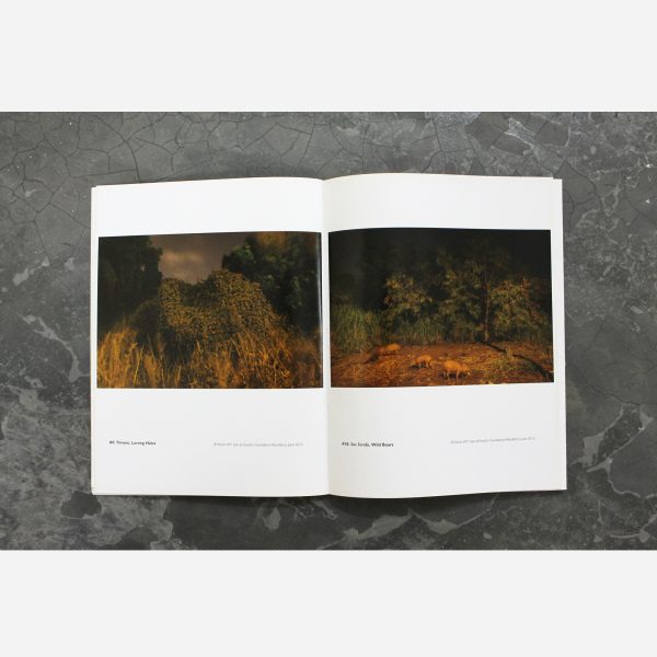 Exactly Foundation - Northeast Hinterland by Kevin WY Lee - Image 4