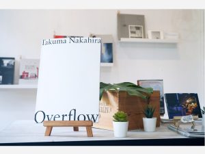 OVERFLOW from Shashasha books