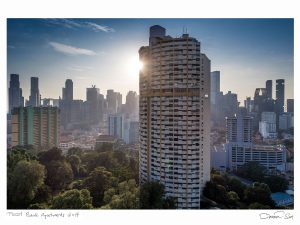 Before it All Goes by Darren Soh - Pearl Bank Apartments, 2017