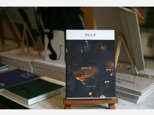 PULP II by Shubigi Rao