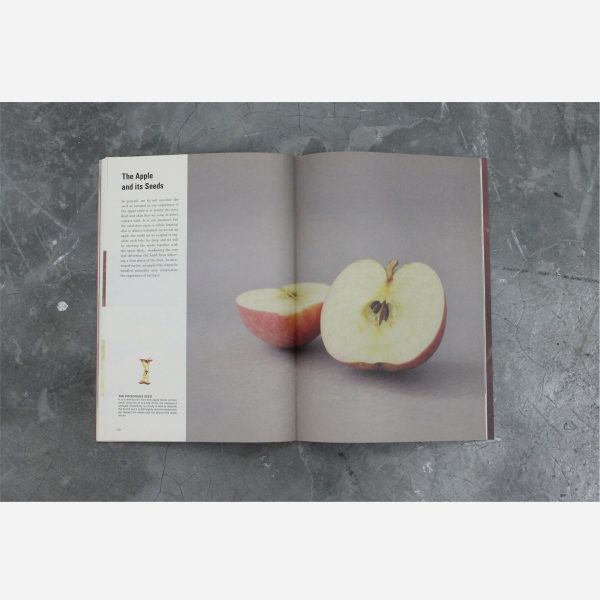 Science of the Secondary - Apple - Image 3