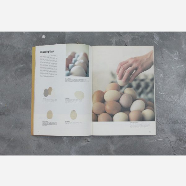 Science of the Secondary - Egg - Image 3
