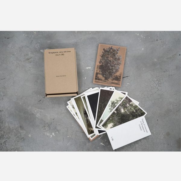 Singapore, Very Old Tree (2nd edition) by Robert Zhao - Image 2