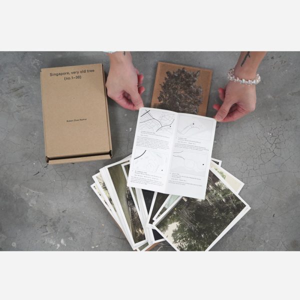 Singapore, Very Old Tree (2nd edition) by Robert Zhao - Image 3