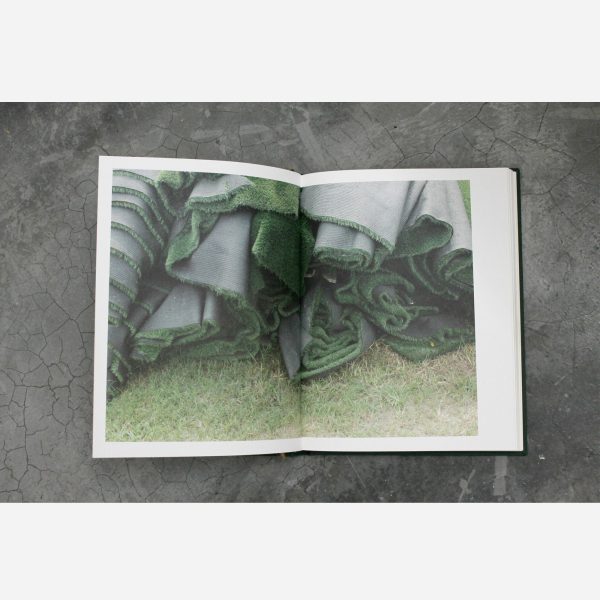 SUDDENLY THE GRASS BECAME GREENER by Kevin W Y Lee - Image 4