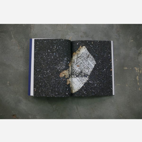 Written in the Margins by Shubigi Rao - Image 2