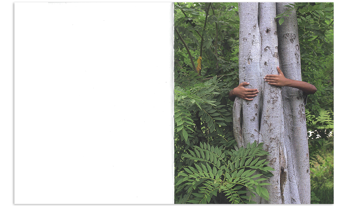 How To Climb A Tree by Aparna Nori (Regular Edition) - Image 2