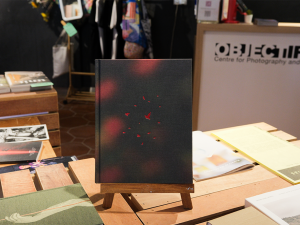 Apricity by PPIPPI Press