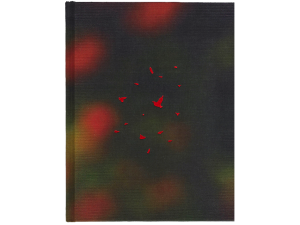 Apricity by PPIPPI Press