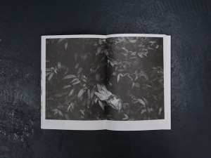 A Guide to Tree Planting by Marvin Tang