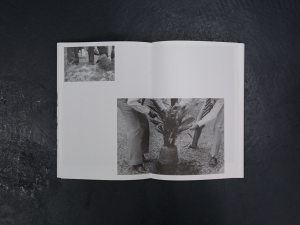 A Guide to Tree Planting by Marvin Tang