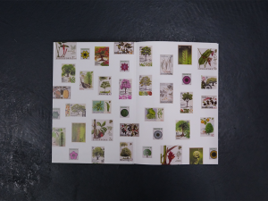 A Guide to Tree Planting by Marvin Tang