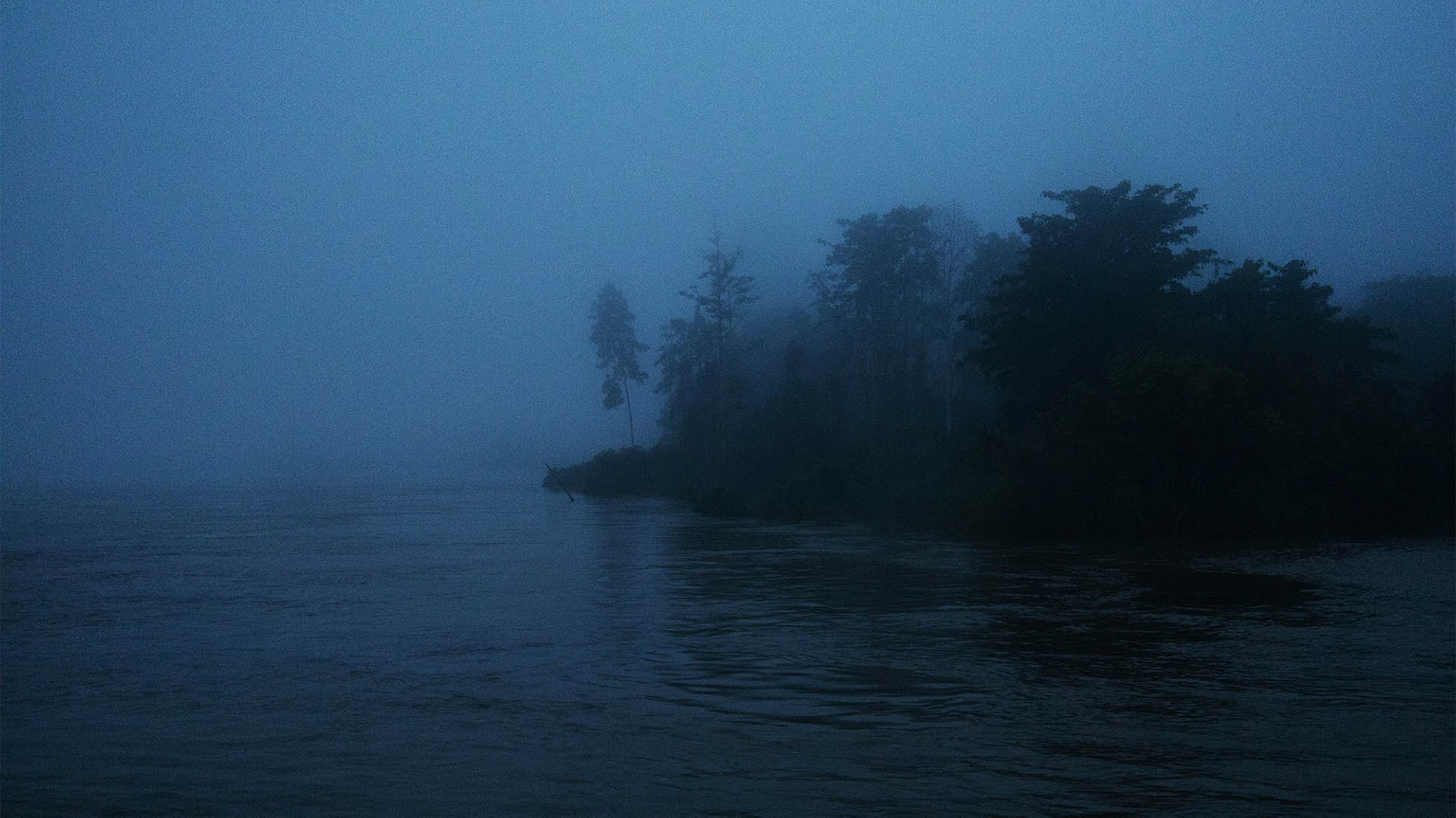 Shared Currents (Image Credit - Michael Eko)