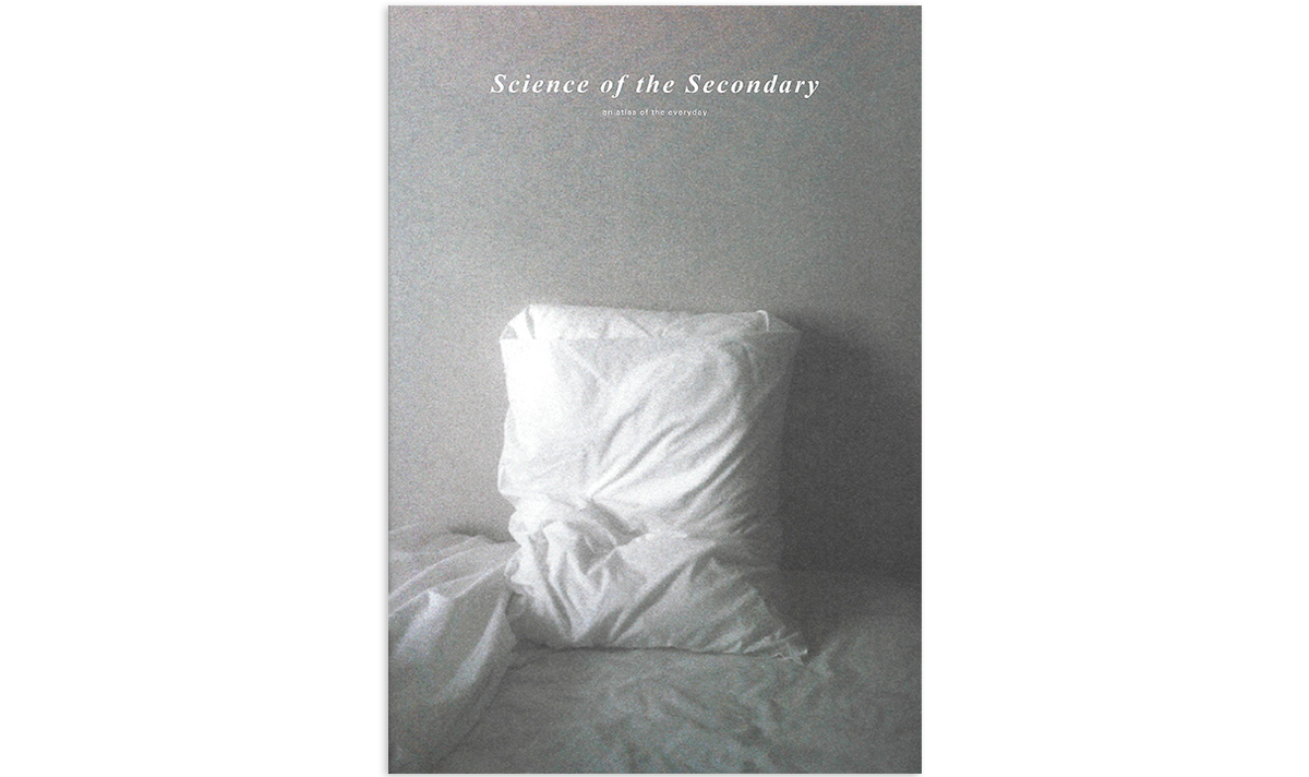 Science of the Secondary – Pillow