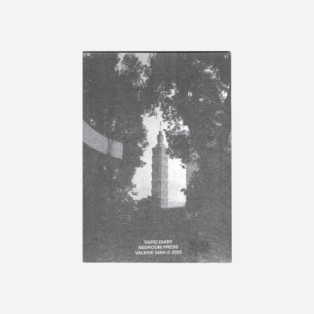 Taipei Diary by Valerie Siah - Image 2